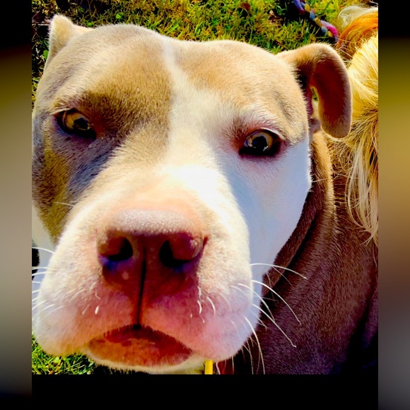 Meet your Posher, Bundle - Picture 4 of 6